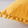 thumbnail image 1 of Top Finel Fundas de Almohada Decorativas 45*45 cm Juego de 2 Fundas de Almohada de sofá de Terciopelo Suave con Granja Boho, 1 of 5