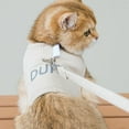 thumbnail image 4 of Clearance! Solid Color Cat Harnesses And Leash Set for Cats Summer Breathable Mesh Adjustable Easy Control Pet Vest Harness Accessories Gray S, 4 of 16