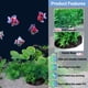 thumbnail image 3 of Decoración de acuario simulación de plantas acuáticas pecera paisajismo planta de simulación de plástico., 3 of 5