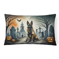 Carolines Treasures DAC2013PW1216 16 x 12 in. Unisex Belgian Malinois Spooky Halloween Fabric Decorative Pillow