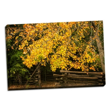 Gango Home Decor Contemporary Late Fall Day II by Alan Hausenflock (Ready to Hang); One 36x24in Hand-Stretched Canvas