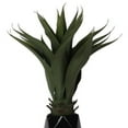 thumbnail image 3 of Bornbridge Artificial Agave Plant with Ceramic Geometric Planter - Artificial Potted Agave Plant (2 Pack, Black), 3 of 4