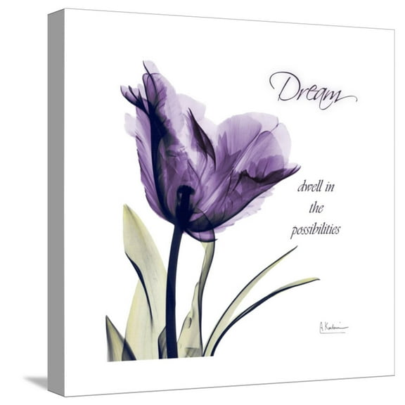 Art.com Tulip Dream Stretched Canvas Print Wall Art by Albert Koetsier, 16" x 16"