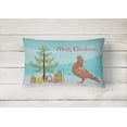 thumbnail image 2 of Carolines Treasures BB9320PW1216 African Owl Pigeon Christmas Canvas Fabric Decorative Pillow, Teal, 12H x16W,, 2 of 3