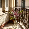 thumbnail image 2 of Artificial Cordyline Plant Stems, Fake Ti Leaf Tropical Greenery, Faux Dracaena Plant Picks, Artificial Cordyline Fruticosa Leaves for Indoor Outdoor Home Garden Decor, 2 of 4