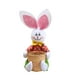 thumbnail image 5 of Divertida cesta de conejo de Pascua, cesta de huevos de conejo, cesta multiusos, rústica, reutilizable, manualidades Pantalones verdes, 5 of 9