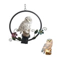 thumbnail image 1 of Luz De Noche De Búho Con Energía Solar, Luz Colgante De Jardín Con Forma De Animal De Resina Única, Luz De Paisaje Al Aire Libre Para Patio, Patio, Camino seitruly HA024555-01, 1 of 5