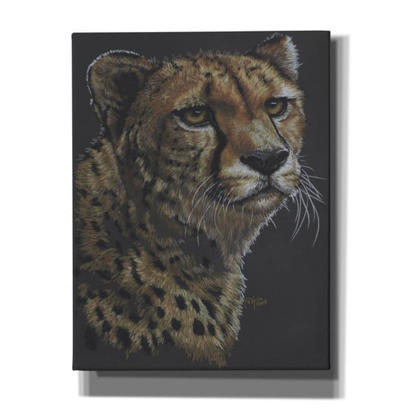 Epic Graffiti 'Movin' On' by Barbara Keith, Canvas Wall Art, 26"x34"
