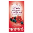 thumbnail image 2 of Lipton Summer Fruits with Hibiscus Herbal Tea, 2 of 8