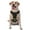 Without Accessories, variant on Vsdgher American Flag Camo Pattern Dog Harness,No Pull Pet Harness with Soft Padded Handle,Adjustable Reflective Vest with 2 Buckles,4 Slide Buckles,S-XL