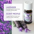 thumbnail image 3 of Healing Solutions 10ml Oils - Lavender Essential Oil - 0.33 Fluid Ounces, 3 of 5