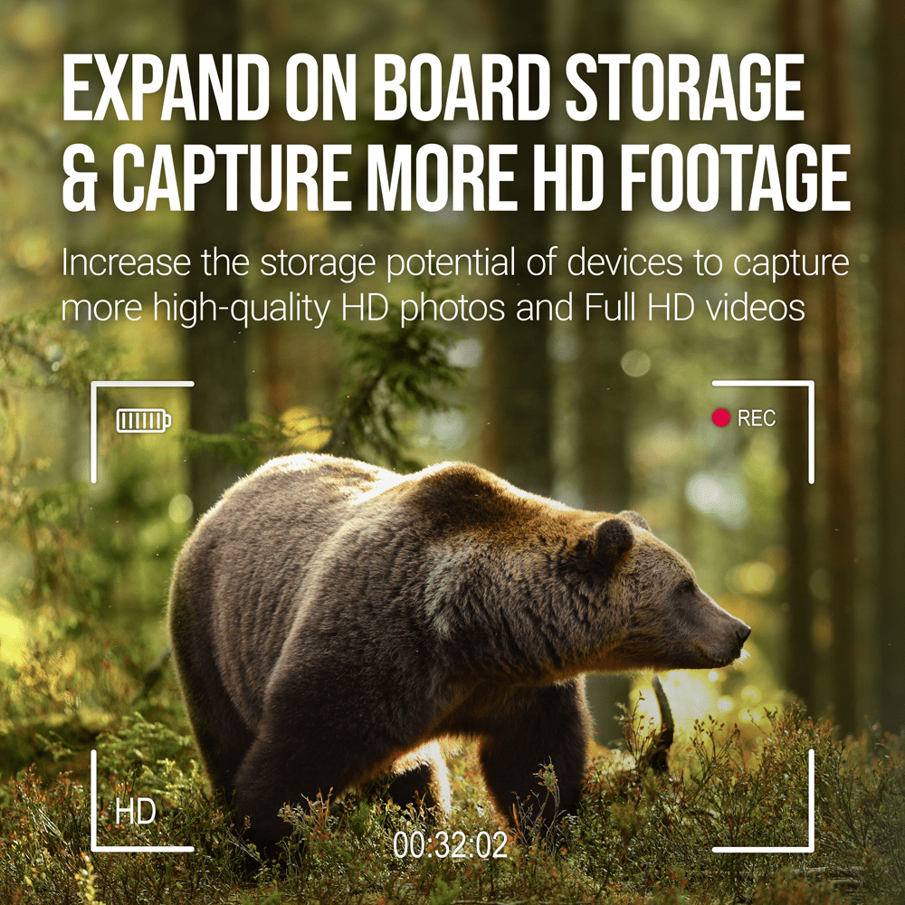 PNY 32GB Elite Class 10 U1 V10 A1 microSDHC Trail Camera Flash Card - Read up to 100MB/s, UHS-I, HD Outdoor & Wildlife Content (Packaging May Vary)