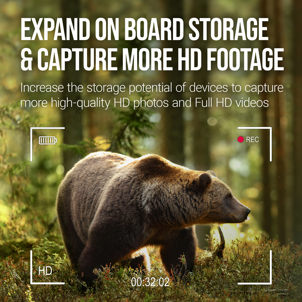 PNY 32GB Elite microSDHC Memory Card, Class 10 U1 V10 photo 7