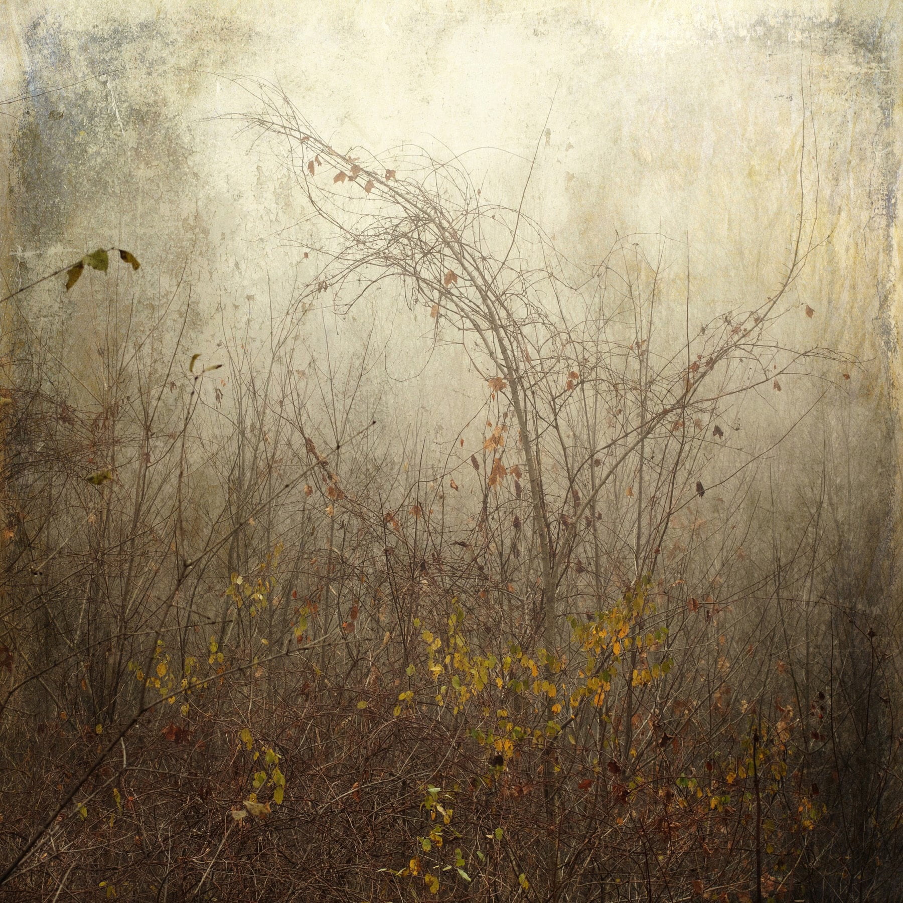 "Leaden Sky" Painting Print on Wrapped Canvas