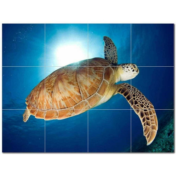 Turtle Picture Ceramic Tile Mural Kitchen Backsplash Bathroom Shower 406073-M43