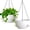 White, variant on 13 Inch 2 Pack Large Self Watering Hanging Planters for Indoor Outdoor Plants, Hanging Plant Pots with Removable 50 Oz Reservoir, Plastic Hanging Basket for Window Porch Garden, White