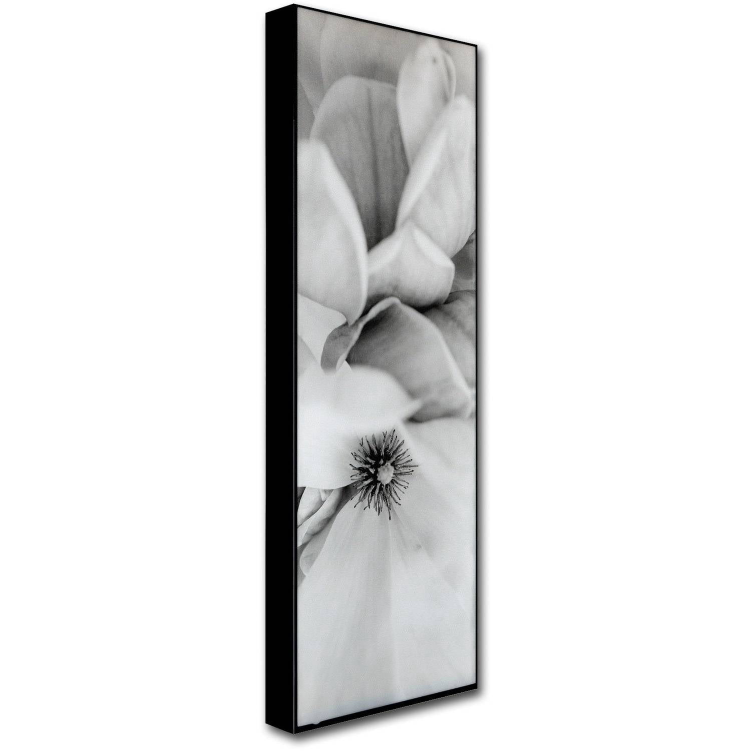 Trademark Fine Art Alan Blaustein 'Magnolia II' Canvas Art