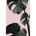 thumbnail image 2 of Artographie Studio 13x18 Black Modern Framed Museum Art Print Titled - Monstera Pink No 03, 2 of 4