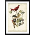 thumbnail image 2 of Art.com Summer Red Bird Art Print by John James Audubon, Black Frame Wall Art, 32" x 44", 2 of 5
