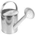 thumbnail image 4 of Large Metal Watering Can Pot Shaped Watering Can Gardening Tool Watering Plants Silver 46.00X35.00X20.00cm Large Capacity 1Pcs, 4 of 4