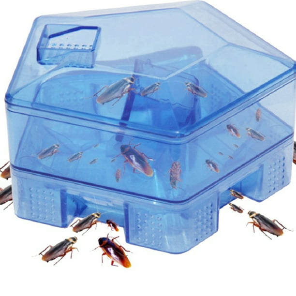 Caja de trampa para cucarachas reutilizable no tóxica, atrapamoscas de cocina para el hogar, atrapamoscas para casa