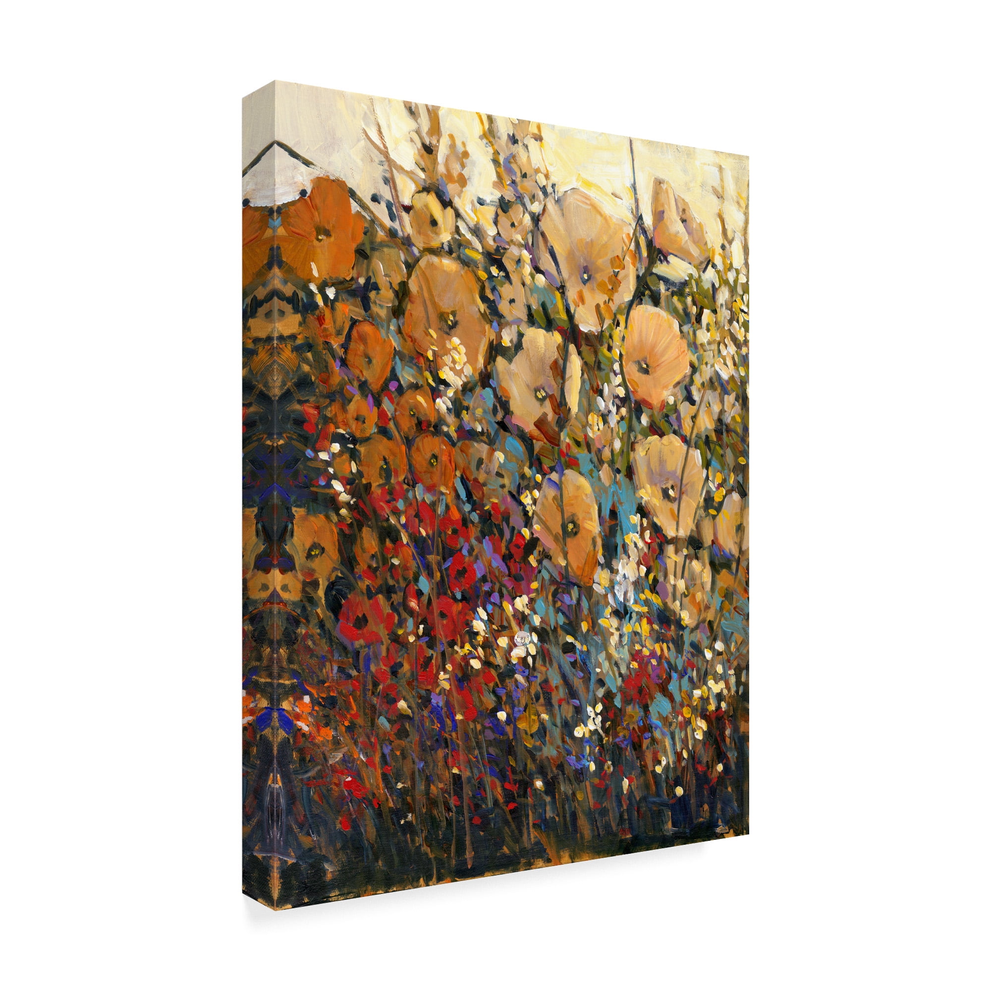 Trademark Fine Art 'Bright And Bold Flowers I' Canvas Art by Tim OToole