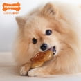 thumbnail image 3 of Nylabone Power Chew Pretzel Dog Chew Toy Bacon & Peanut Butter Small (1 Count), 3 of 16
