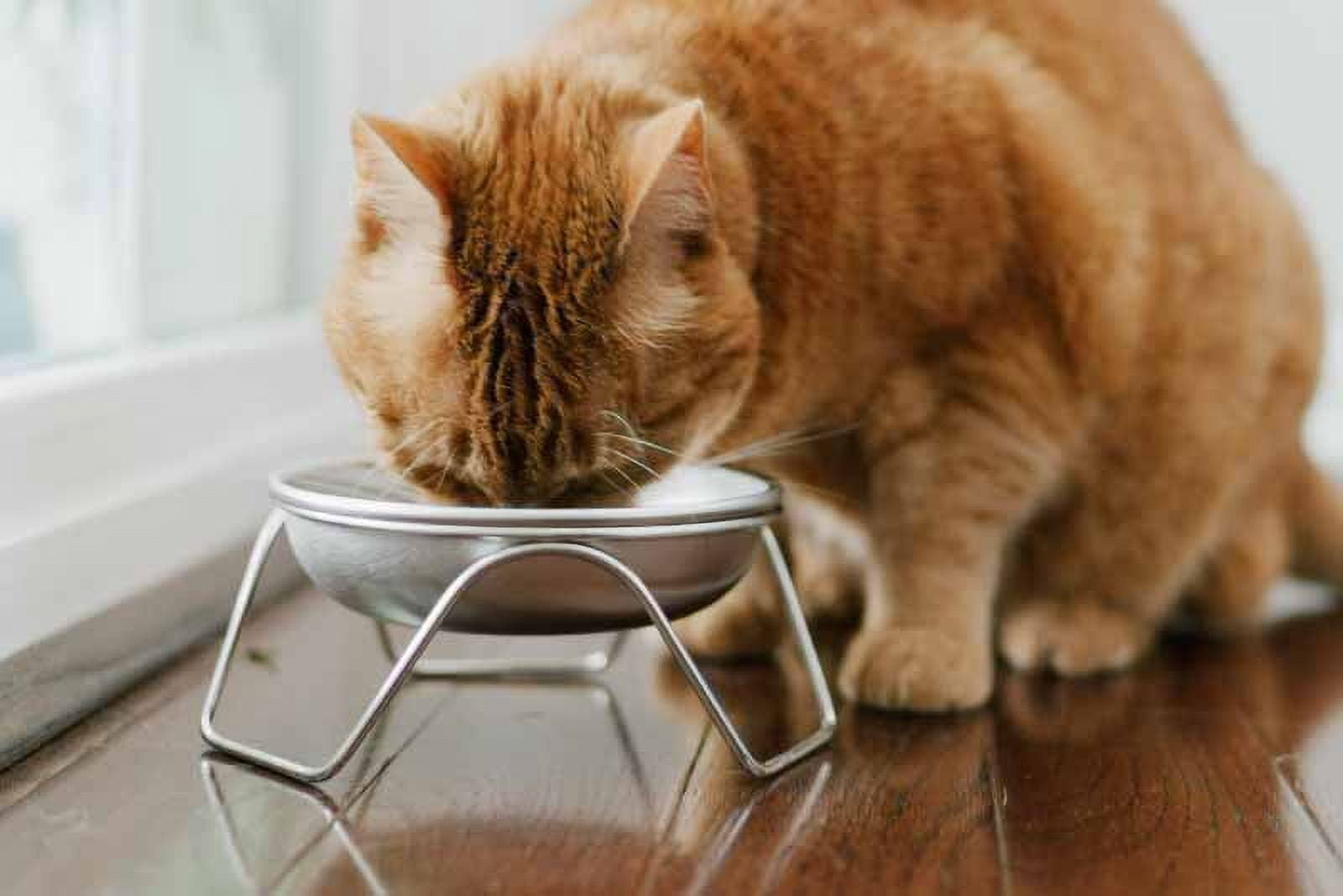 Raised Cat Bowl Stand for Food & Water by Americat – Made in USA – Stainless Steel, Spill-Proof Elevated Feeder, Dishwasher Safe, Human Grade, Whisker Friendly