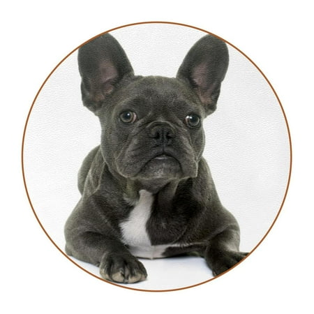 

OWNTA Puppy French Bulldog Pattern Premium Microfiber Leather Round Coasters (6PCS) - 11x11 cm/4.3x4.3 in - Durable & Stylish Cup Mat Set