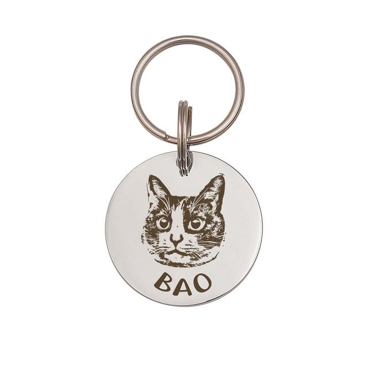 Anavia Stainless Steel Double Sided Round Name and Pet Portrait Engraved Dog & Cat ID Tag, Multi-color, S