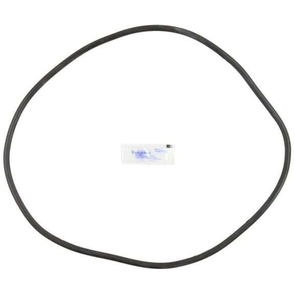 Pentair 27001-0061S Body O-Ring for Tank Replacement for select Sta-Rite Pool and Spa Filters