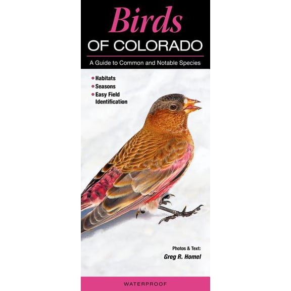 Birds of Colorado: A Guide to Common and Notable Species (Other)
