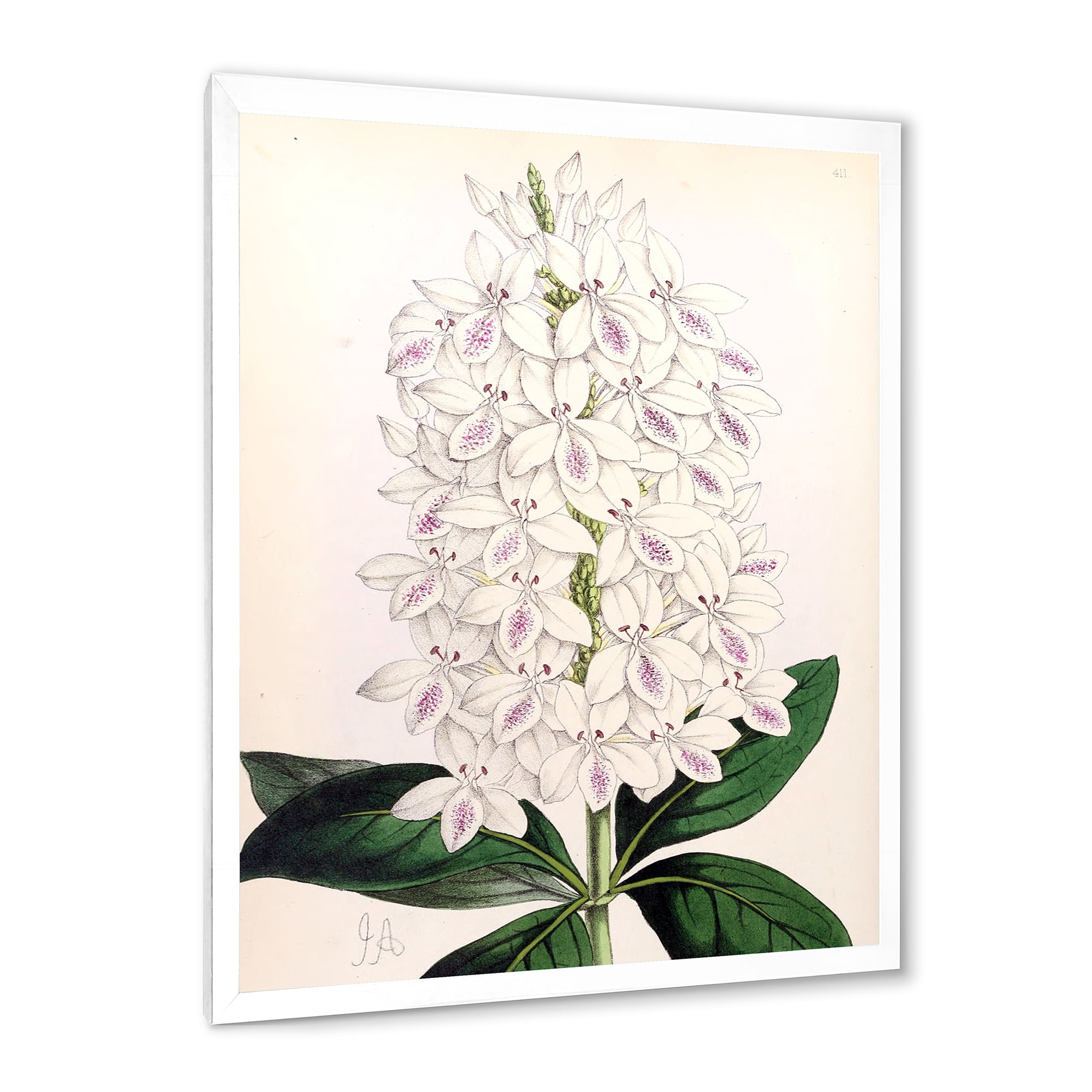 Designart 'Ancient White Orchid III' Traditional Framed Art Print