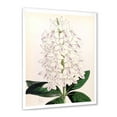 thumbnail image 2 of Designart 'Ancient White Orchid III' Traditional Framed Art Print, 2 of 4