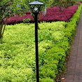 thumbnail image 2 of 1.5m Led Solar Powered Traditional Garden Lamp Post Lamppost Lantern Light Decor, 2 of 4