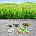 thumbnail image 2 of Figurines de Cycle de Vie Simulation Libellule pour Modèle de Croissance Cadeaux de Fête Enfants Arbre à Il Rouge Grenouille, 2 of 9