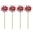 thumbnail image 1 of shiyou-26 Pouces Fleurs Artificielles Rouges de Lys Araignée 4 Pcs Faux Lycoris Radiata Fleurs Équinoxe en Soie pour Vases Bouquets Décoration Maison Bureau Mariage (Rouge), 1 of 4