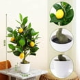 thumbnail image 2 of 2Pcs 20 Inches Artificial Lemon Tree, Fake Citrus Tree in Pot Faux Potted Plants for Home Office Living Room Table Decor, 2 of 7