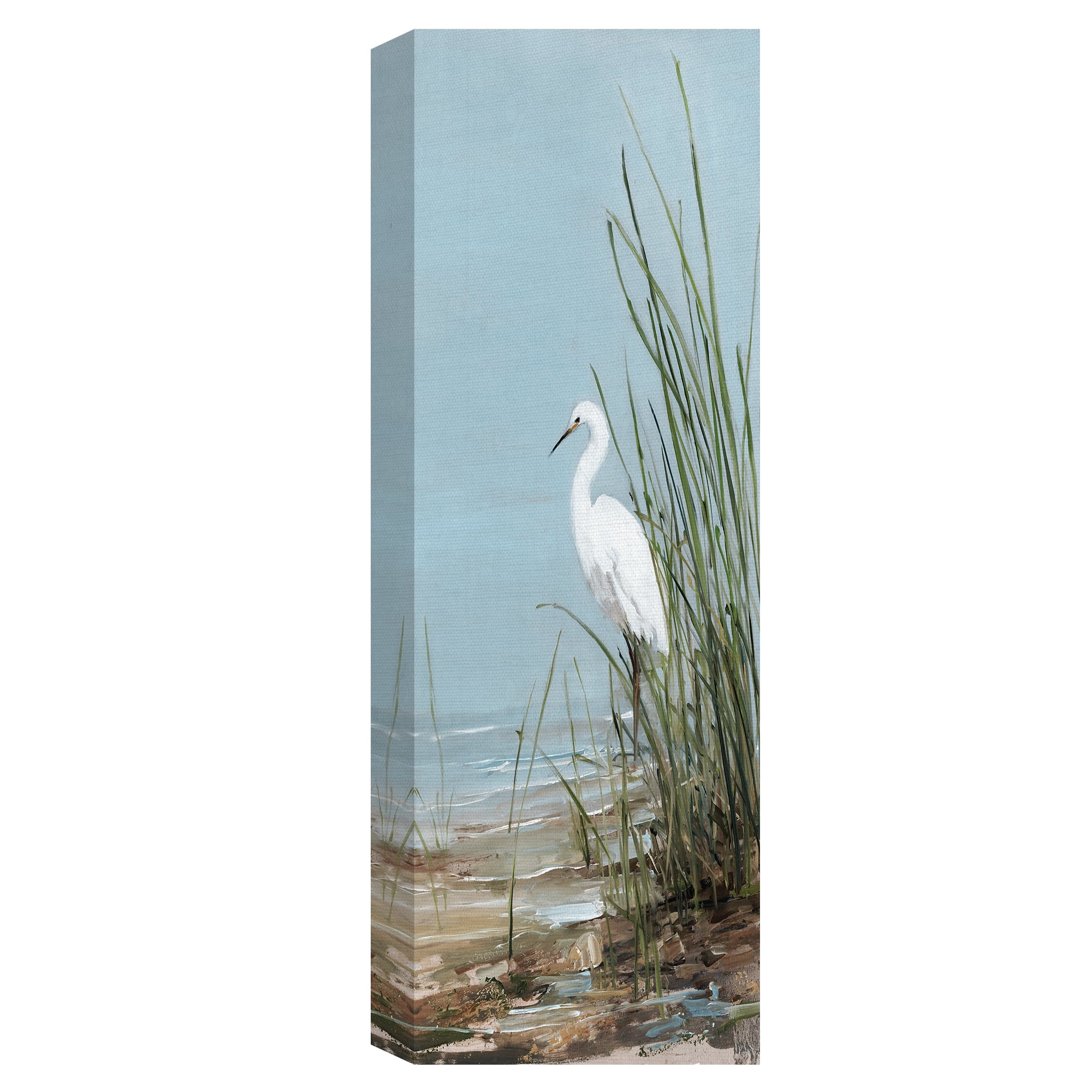 Masterpiece Art Gallery White Shorebird I & II by Sally Swatland Canvas Art Set of 2 (16" x 20")