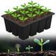 thumbnail image 3 of Propagación Semillas Contenedor Flower Planta Cultiva Caja Bandeja Arranque 12 Agujeros Silicona Transpirable Reutilizable para Que Crecen Comenzando, 3 of 8