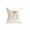 White, variant on Dalxymotic Christmas Throw Pillow Covers, Snowflake Bow Designs 17.71x17.71 Inch, Holiday Decorative Cushion Cases, Christmas Decorations Indoor Outdoor for Sofa, Couch, Bed