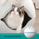 thumbnail image 5 of Teissuly Clearance Small Purifier Refrigerator Closet Shoe Closet Pet Bathroom Deodorizer, Fresh Disinfection Deodorization Portable Rechargeable Purification Ball(White, ) Teissuly WER2023081500232, 5 of 7