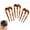 3pcs Brown, variant on French Hair Pin 3 Prong, Acetate U Shaped Twist Comb for Thick Hair Elegant Style Holder Chignon Clip Vintage Hairstyle Accessory Updo Chignon Bun Holder for Women Daily Use