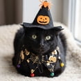 thumbnail image 4 of Halloween Pet Halloween Costume, Adjustable Pumpkin Spider Print 2 Piece Set, 1 Witch Hat 1 Bandana, for Small Dogs Cats Halloween Trick or Treat Party Holiday Decoration, 4 of 7