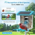 Bird Feeder with Camera B300: Smart Birdhouse Camera AI Recognition