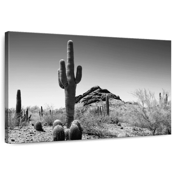 Elephant Stock Black Arizona - Lost In The Desert Wall Art - Horizontal Canvas Wall Art - Living Room Wall Decor - Floral And Botanical Canvas - Black And Gray Decor By Philippe Hugonnard - 12" x 8"