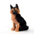 thumbnail image 4 of Wolfdog Plush Dolls Toy Cartoon Children's Toy Simulation German Shepherd Durable Doll Creative Exquisite Gift, 4 of 4