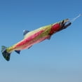 thumbnail image 2 of In the Breeze 4963 — Trout Fishsock, 36" — Realistic Fish Outdoor Windsock for Yards, Gardens, Docks, Boats, Camping Decor, 2 of 3