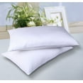 Cotton Loft Firm Pillow