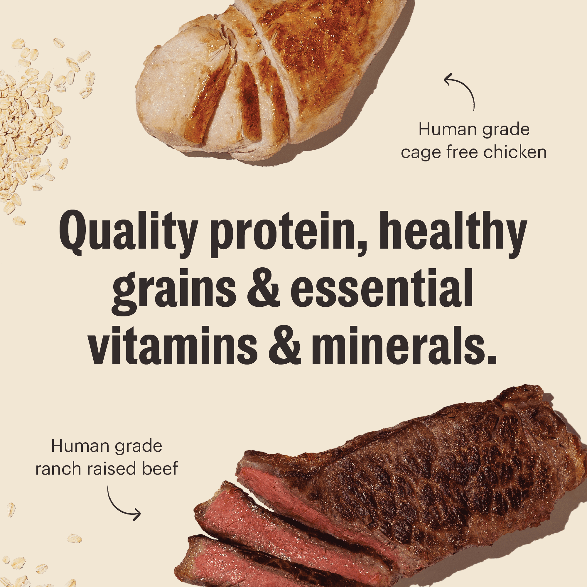 The Honest Kitchen Human Grade Essential Clusters Dry Dog Food Whole Grain Beef & Chicken Dry Dog Food 5 lb Bag